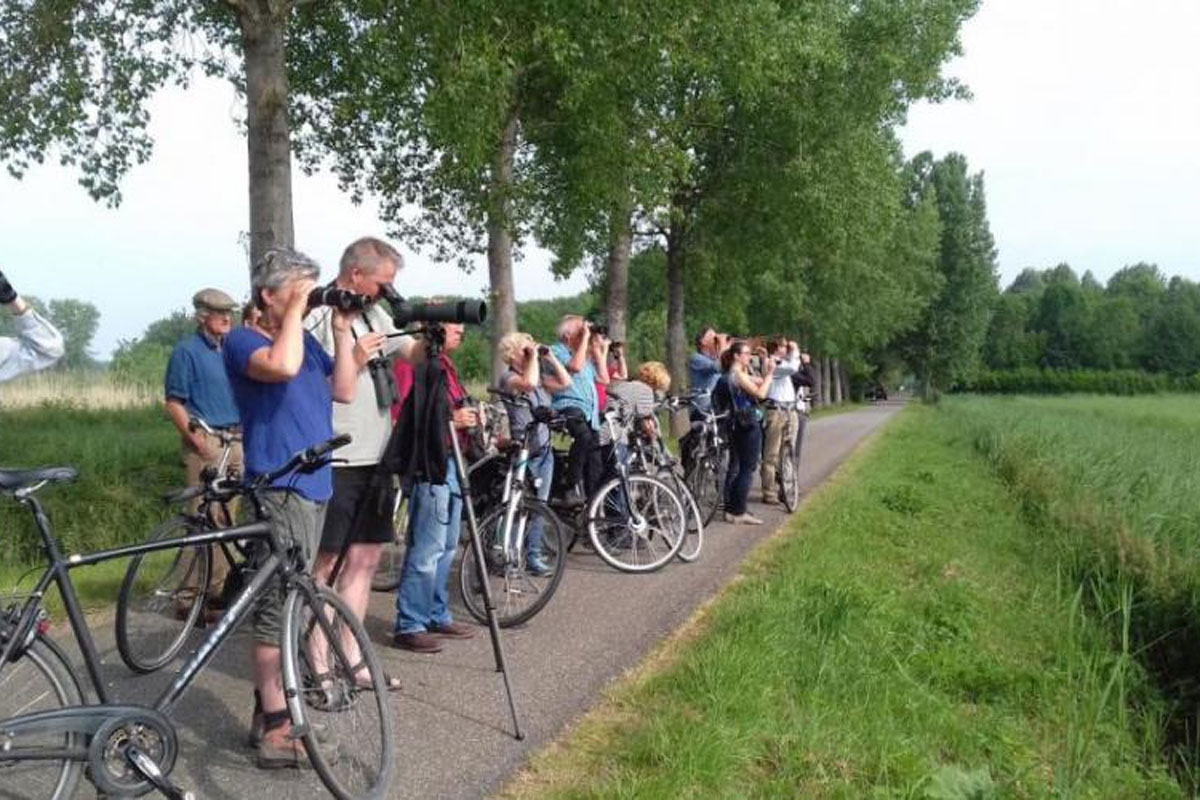 1 Februari eerste excursie "Vogels in de buurt" 2025