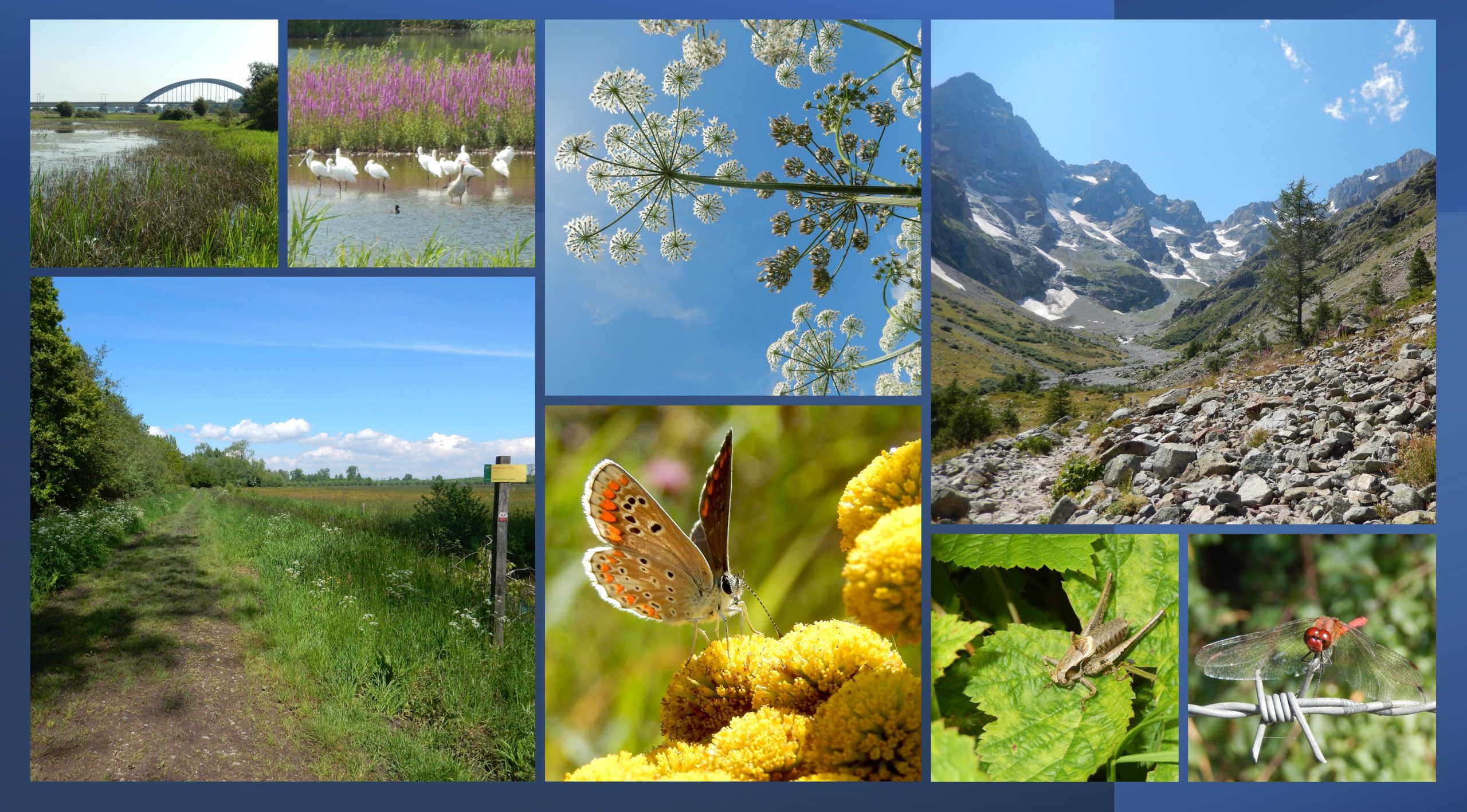 Lezing: natuur dichtbij en ver weg