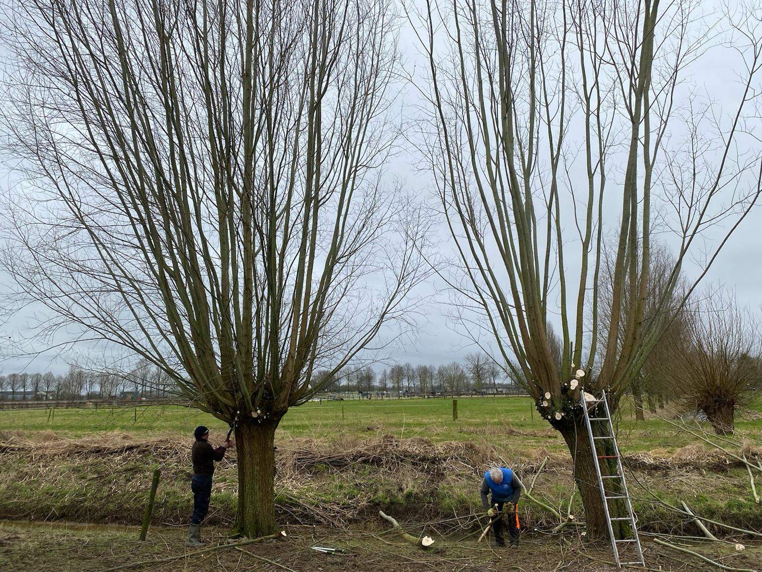 Knotwerkgroep NVWC gaat aan de slag