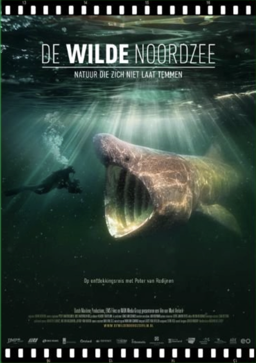 Natuurfilm "De Wilde Noordzee"