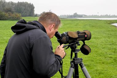 Vogels in de buurt: Even op bezoek bij de trektelpost