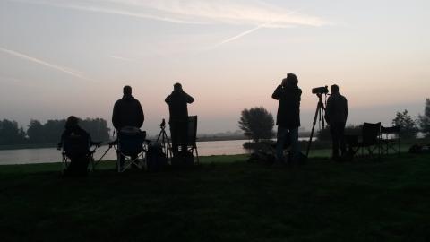 EuroBirdwatch: trekvogels tellen van zonsopgang tot zonsondergang