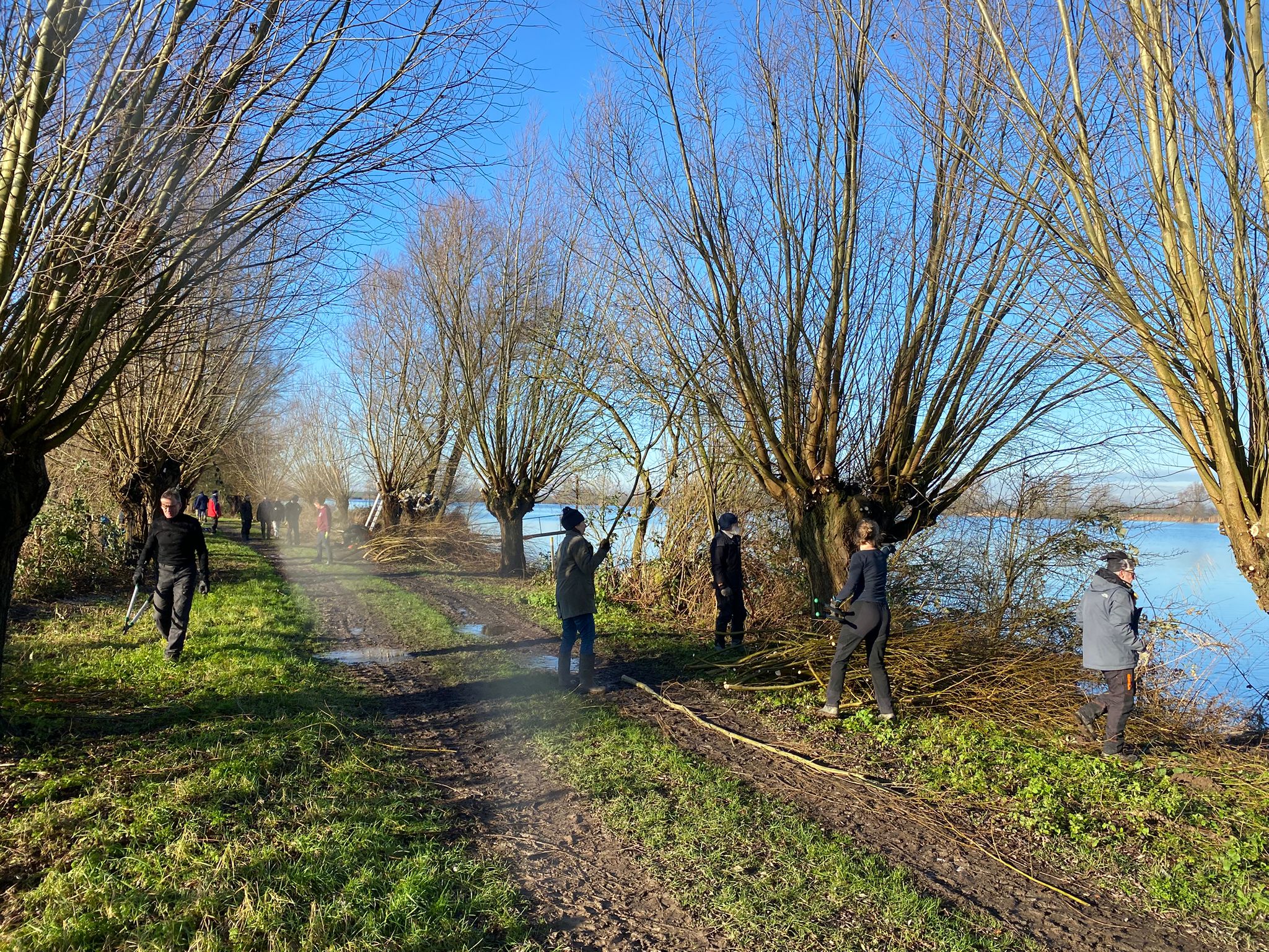 Laatste knotdag, locatie Redichemse Waard