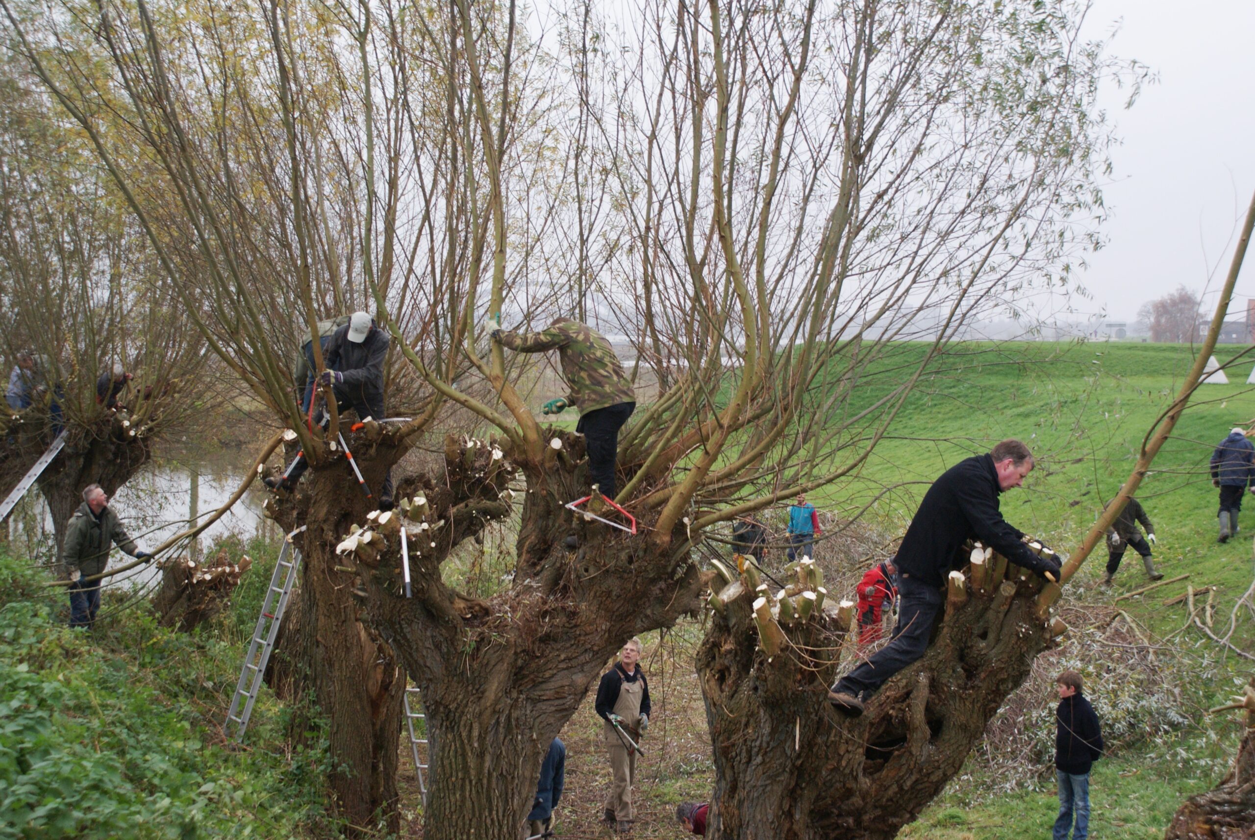 Knotploeg aan de slag bij Werk aan het Spoel